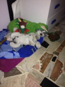 Presley bear snuggling with his reindeer and doggie